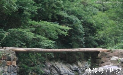 老同学$初读孟郊这首诗感觉他很狂,了解真相后才觉得他真是太不容易了