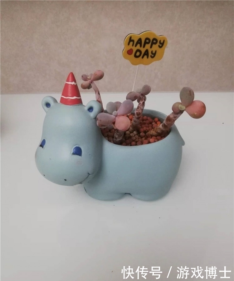 一肉一世界，一方一净土