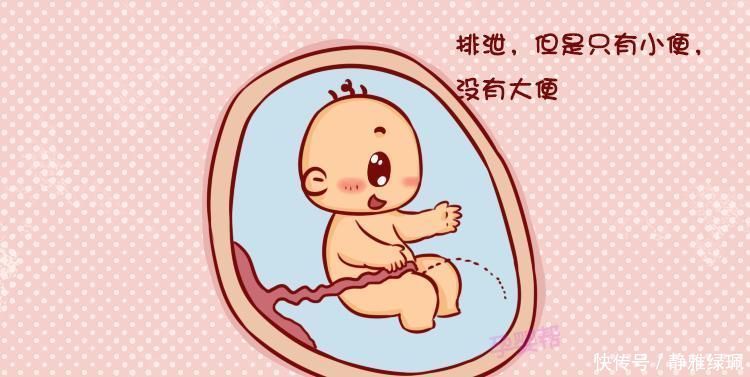 怀孕后羊水是怎么来的？了解了它的构成，孕妈别嫌弃