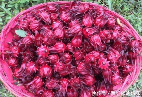 春季来了,多吃几种食物,润肤养颜,延缓衰老,好处多多