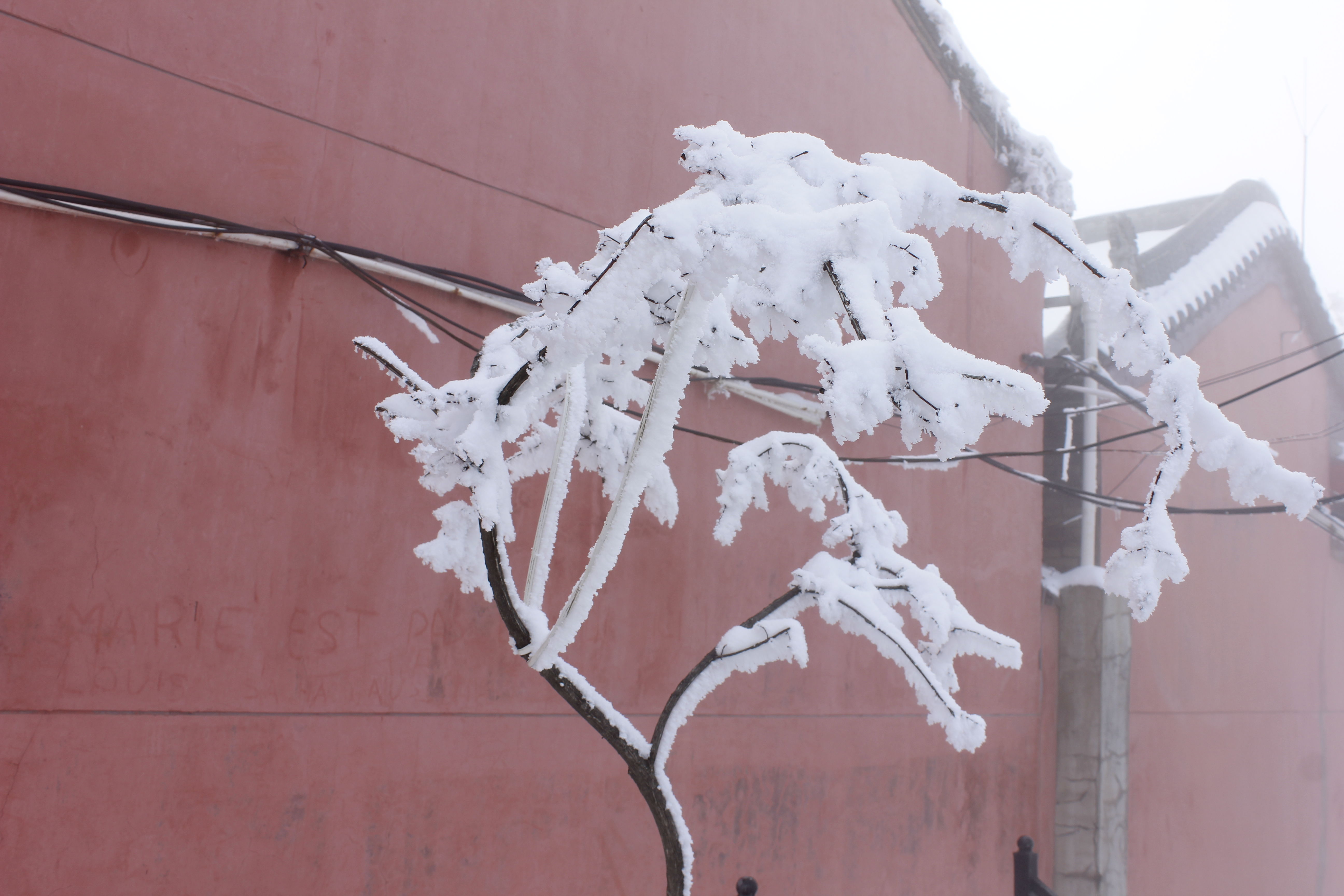 征集|【年末福利征集】雪后南五台幸遇云海