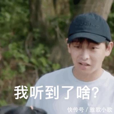 张艺兴|《向往5》搞事情，张艺兴意外遇见吴亦凡彭昱畅秒变八卦脸