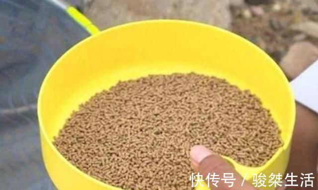 冬天一冷，鱼就不好钓，庆幸我有百试百灵的套路，每次钓完特过瘾