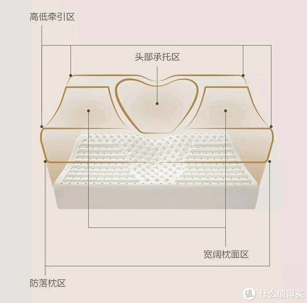 全方位守護睡眠，8H蝶形肩頸養護天然乳膠枕Ace