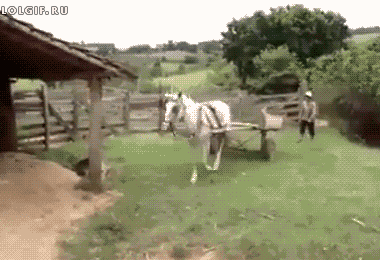 |搞笑图片：借个光，让我也看看