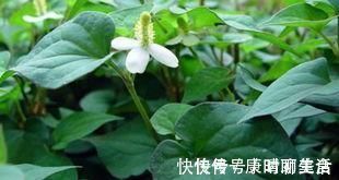 男人|男人若想前列腺好,天天吃点“它”,不需要多久,炎症自然消