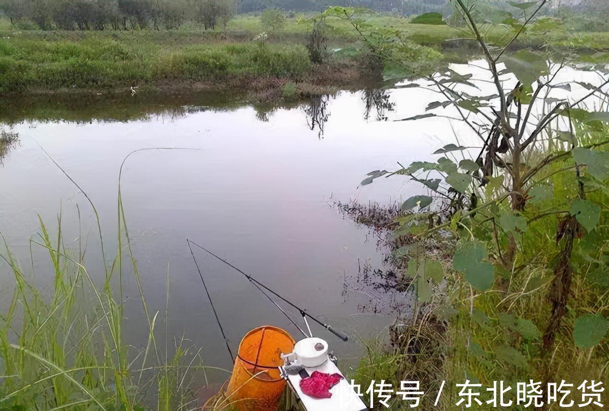 进窝迹象明显,鱼口却一直不好,到底是什么原因导致的