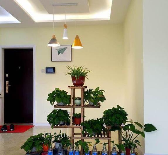 烤漆面|老公坚持餐厅不做柜子,原来用吊兰做隔断可以这么漂亮,学到了