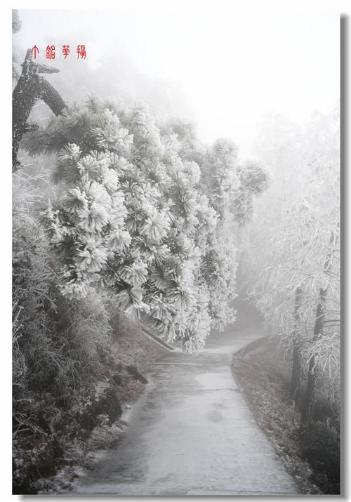 铅山|铅山葛仙山白雪皑皑，犹如冰雪童话世界