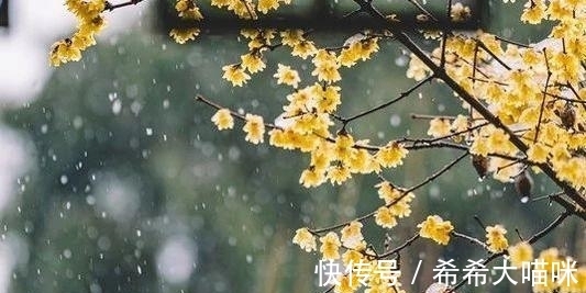 绝句!一位十八岁的七律爱好者,如何突破当下的困境——作品修改回复