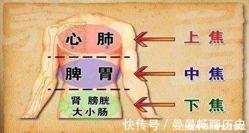 生殖系统|华佗松筋健康法夹脊穴养护心肝脾肺肾，比膀胱经的作用更明显