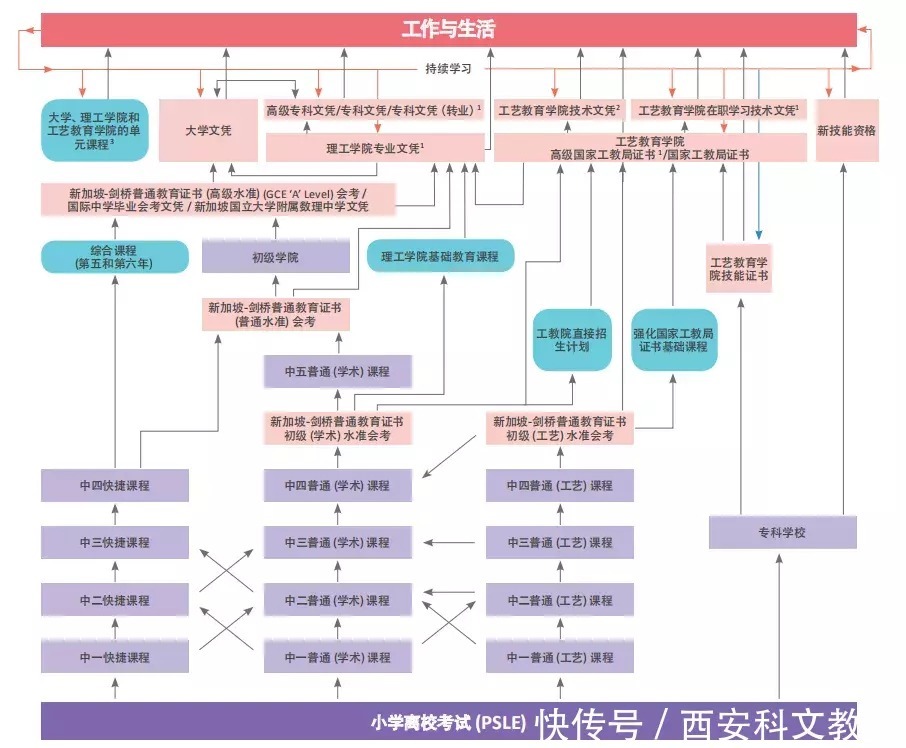 为什么建议你小四之前去留学？|新加坡留学| a169