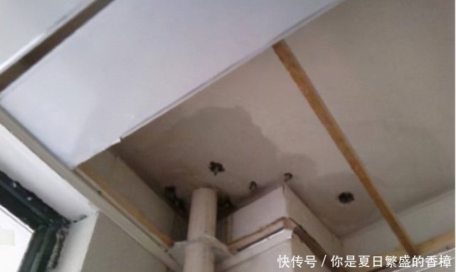 栗子|卫生间不要涂防水层了,老师傅都是这样做,住再久都不会漏水