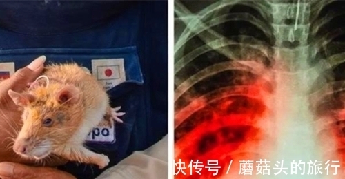 即便是学霸也并不一定知道的8个冷门的小知识