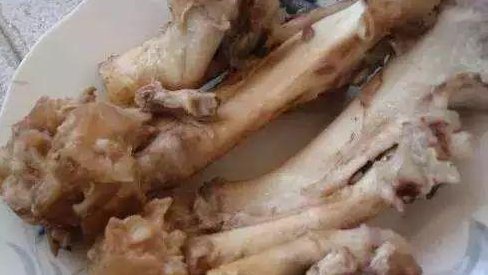 盆底|盆里扔2样东西,养花10年不烂根,叶子油光瓦亮,花苞挂满枝头