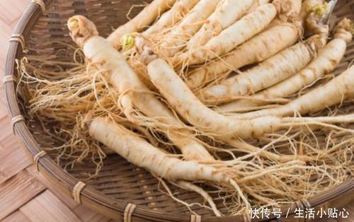 相比起人参，西洋参为何更受人们的青睐？西洋参的好处都在哪？