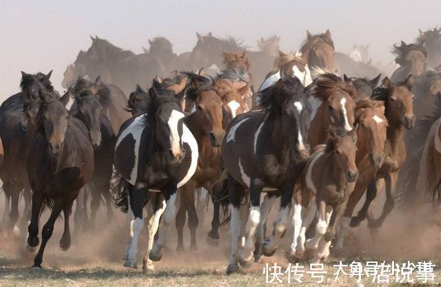 魔都&千古绝对! 上联 江南千水千山千才子, 下联经典到爆!