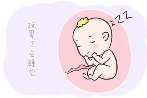 小雅|胎儿每天在妈妈肚子里忙什么?除了吃和睡,他们有好多事情要忙!