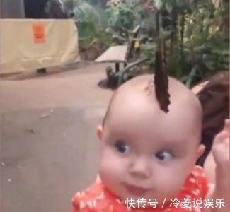 黑蝴蝶|路人看到宝宝留着“扫帚发型”,走近后一看,却是感到不可思议