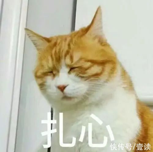 bots|王健林去世，马化腾生日，为什么谣言越假越有人信？
