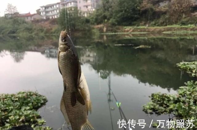 垂钓最爽的5个时刻,正常人难以理解,钓鱼人直呼过瘾