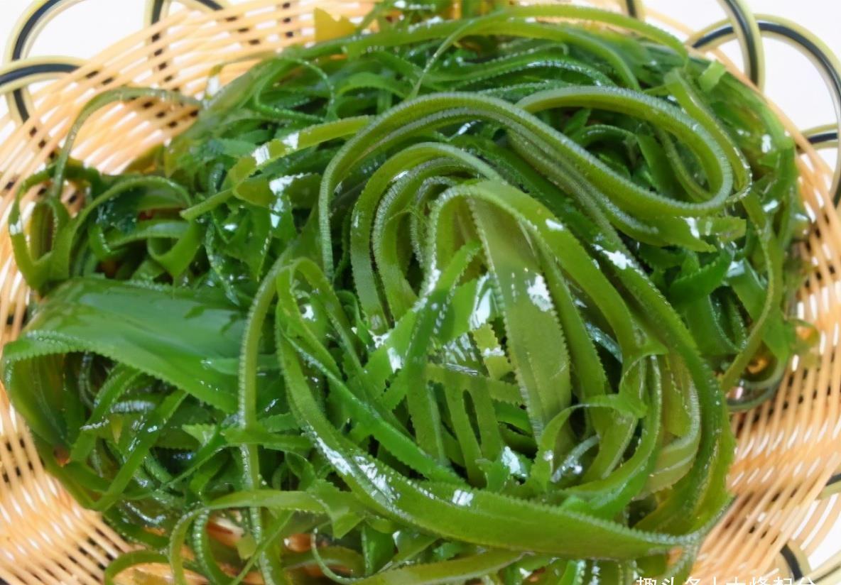 海带|海带丝腥味重?大厨教你2招,脆嫩爽滑又入味,一点也不腥