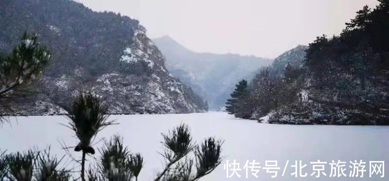 一夜之间|来啦！多图带你看紫禁城瑞雪，还有卖萌的熊猫、嬉戏的老虎~