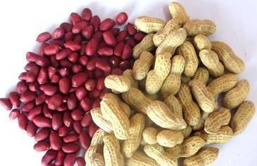 血气|一个大补气血的方子,简单5味食材,养心护脾,让你瞬间血气满满