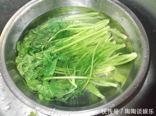 视力|天然“护眼菜”发现了,简单炒一炒,视力好了,不懂吃可惜了