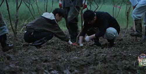 彭昱畅 《向往的生活》:干最轻的活,拿最高的片酬,竟然还有人喊累?