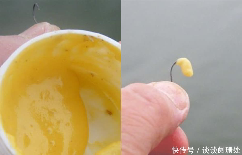 鲫鱼|初夏野钓大鲫鱼，可以试试蛋糊包食钓，适合小鱼群里绝杀大鱼！