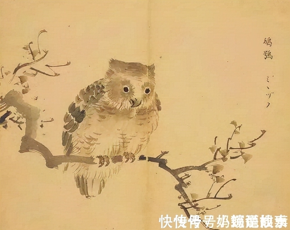 武皇帝!《说文解字》第464课:曹操老家的这个“谯”字,究竟是啥意思?