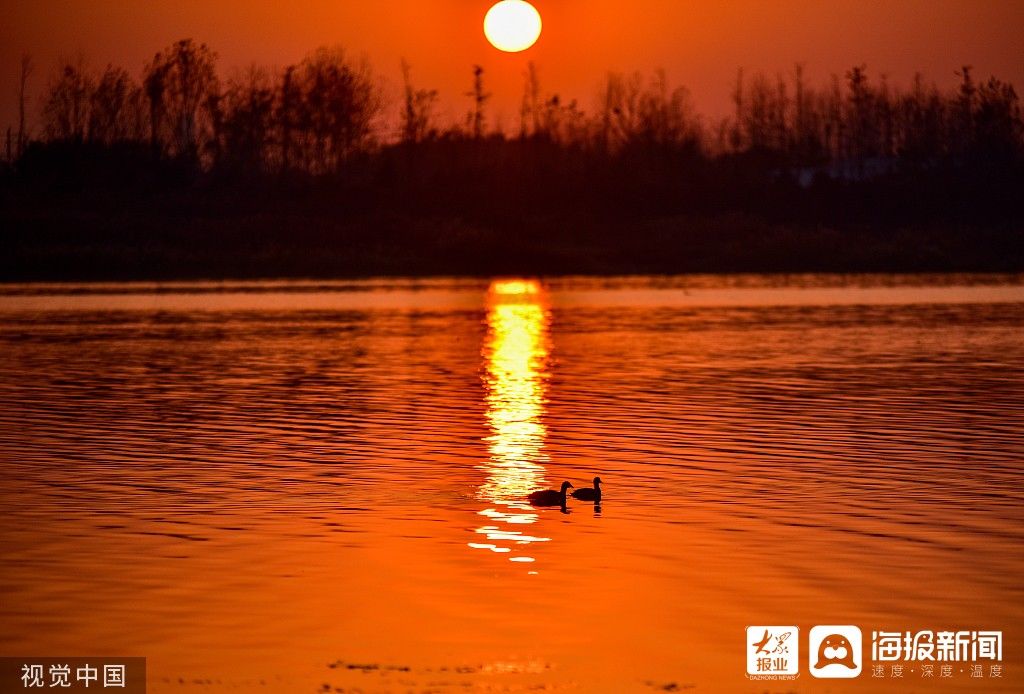 湿地|图看日照｜湿地夕阳红