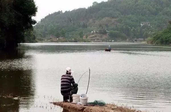 天冷去哪能钓到鱼？只要学会这1招，再冷的天你也能钓到鱼！