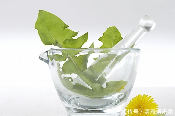食用价值|蒲公英和此物“天生一对”,连喝三天,肝脏更健康,口臭也没了!