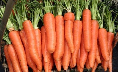 胡萝卜素|血管一堵,百病缠身! 多吃这5种食物,能清血管,身体更健康