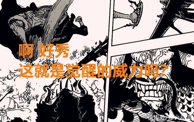 凯多|海贼王1017话:路飞果实面临觉醒,凯多也会是双重果实能力者?