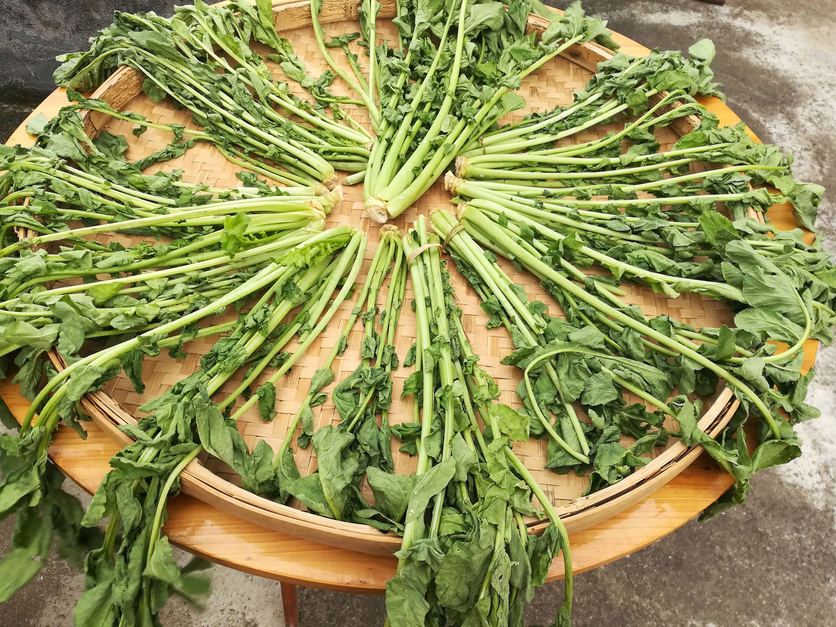 这菜不花钱，营养极高，很多人当垃圾扔，晒干了炖肉特香，别浪费