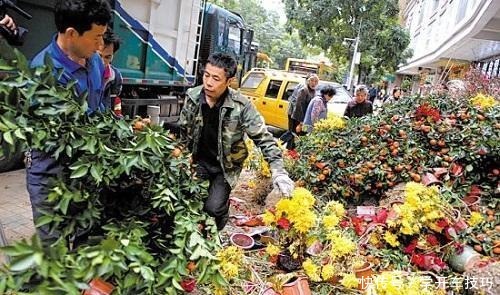 大妈养花一分钱没花，花和花盆都是“捡的”，真是让人想不到！