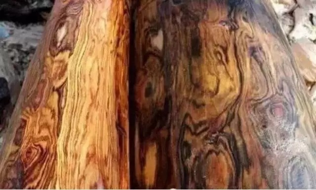 不止|冒充海黄的玩意儿,可不止紫檀柳!