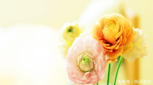 眉头皱纹怎么去除 ，笑看世间变迁 ，而你仍旧青春常在！