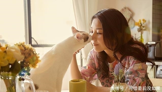 古人|古人为什么不吃猫肉?李时珍说:有一种情况千万别吃