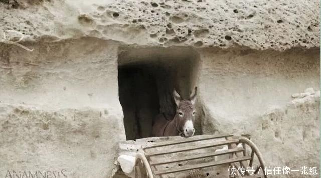 笔直|二战彩色老照片遭俘虏的德军士兵，笔直地站在美军士兵面前！