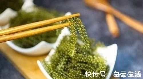 长茎葡萄蕨藻|西餐的桌子上放的“小葡萄”能吃吗若放着不吃,会遭服务员嘲笑