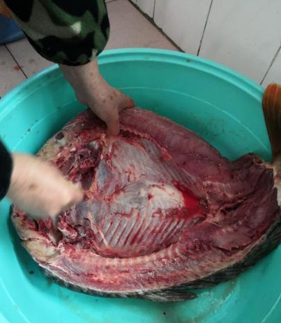 腊鱼|腌腊鱼,别直接抹盐!再加这一样,鱼肉腊味十足,好吃不变质!