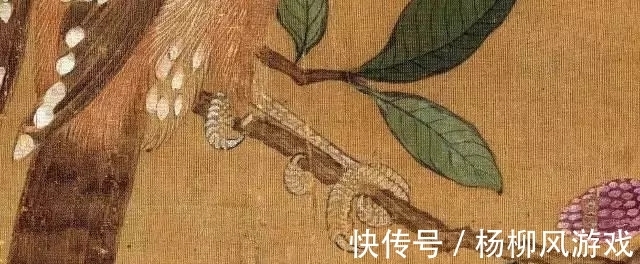 花鸟画@精细入微，看清一根根羽毛！赵佶花鸟画