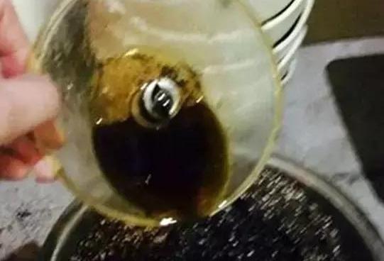 养花施肥篇这些垃圾可变废为宝,成为盆栽植物的''催化剂''