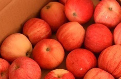 苹果|糖尿病人吃苹果,吃哪一种苹果更好,一起来看看谁的含糖量低