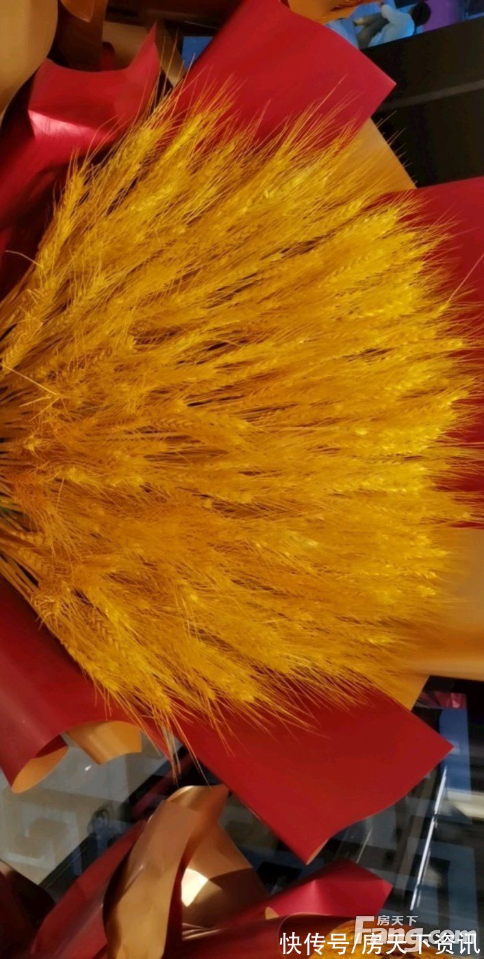 汇龙·云景|哈尔滨道外热门楼盘项目现场传来一批新照片，请查收