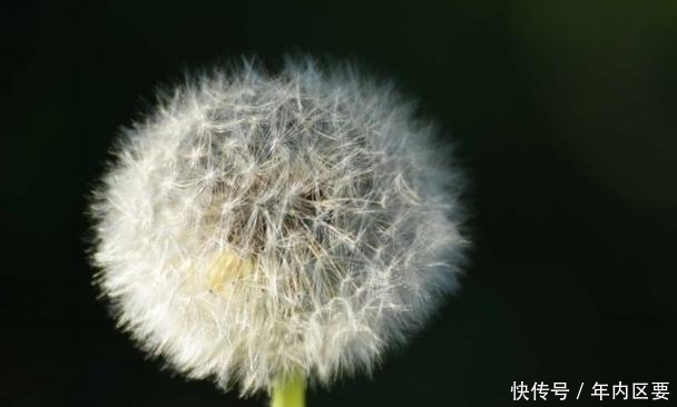 缘分|再过8天，月老助力，缘分萌芽，紧随其后，邂逅爱情，手到擒来